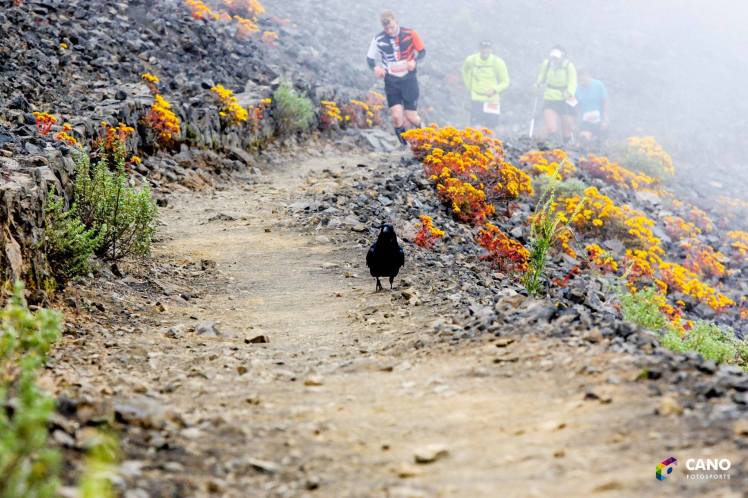 13147460_1069748949758341_7314372887297104773_o